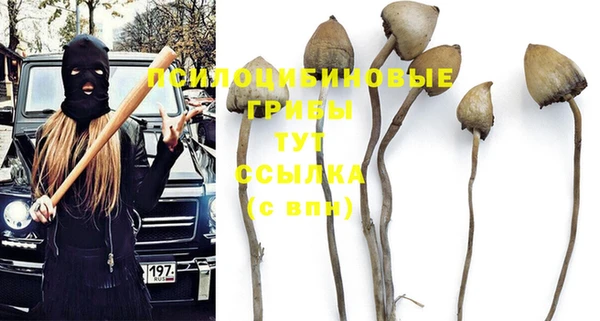 ешки Алзамай